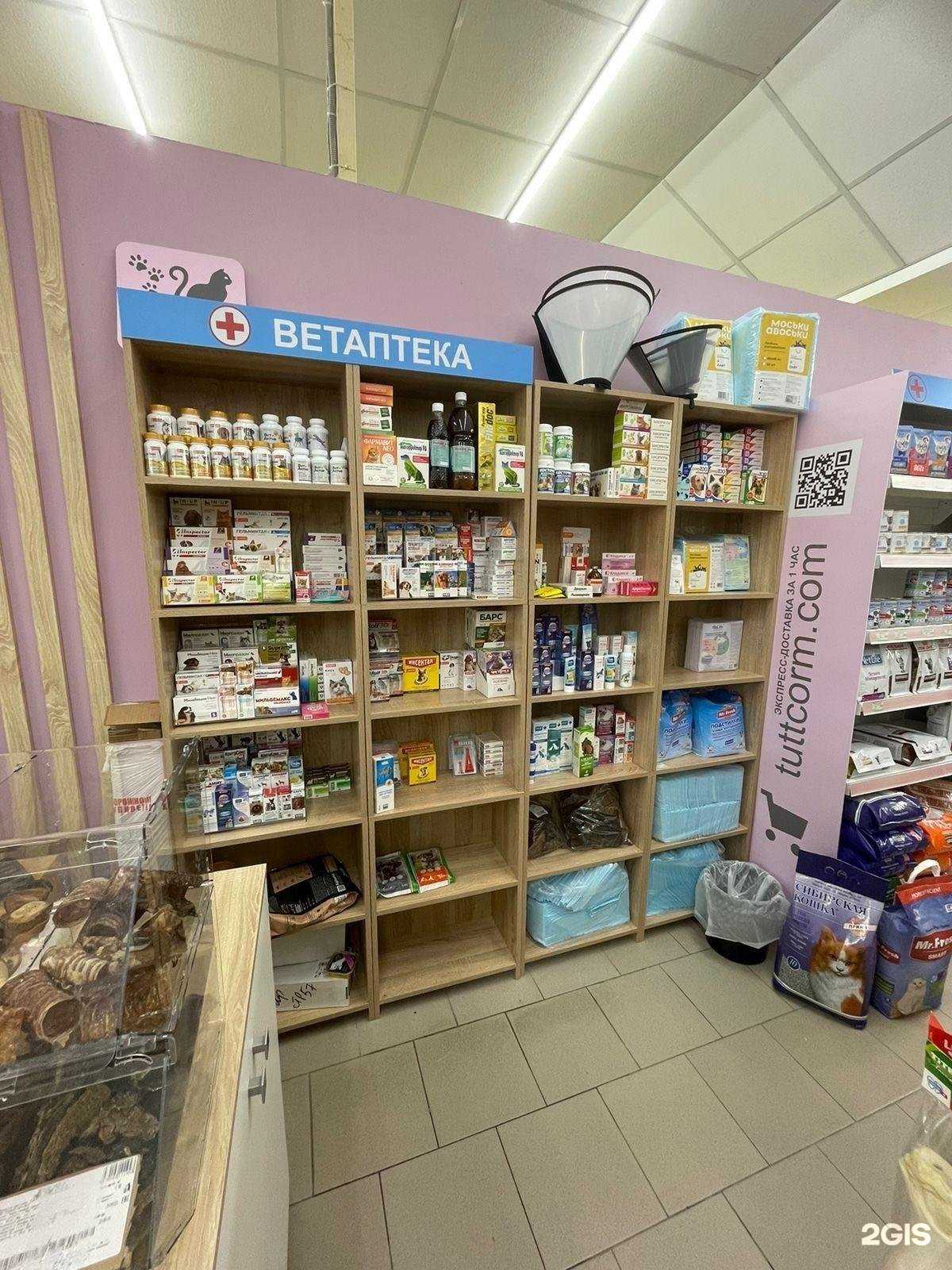 Отзывы на компанию Котопес в Кемерове c фото