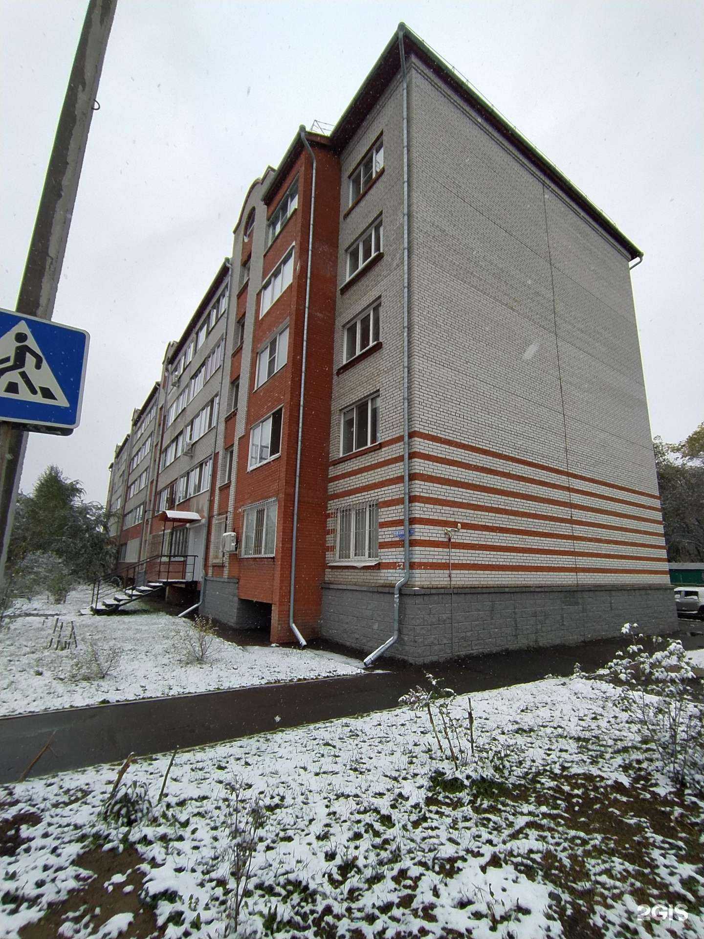 Отзывы на компанию Профи Dog в Омске c фото - фотография 2 из 2