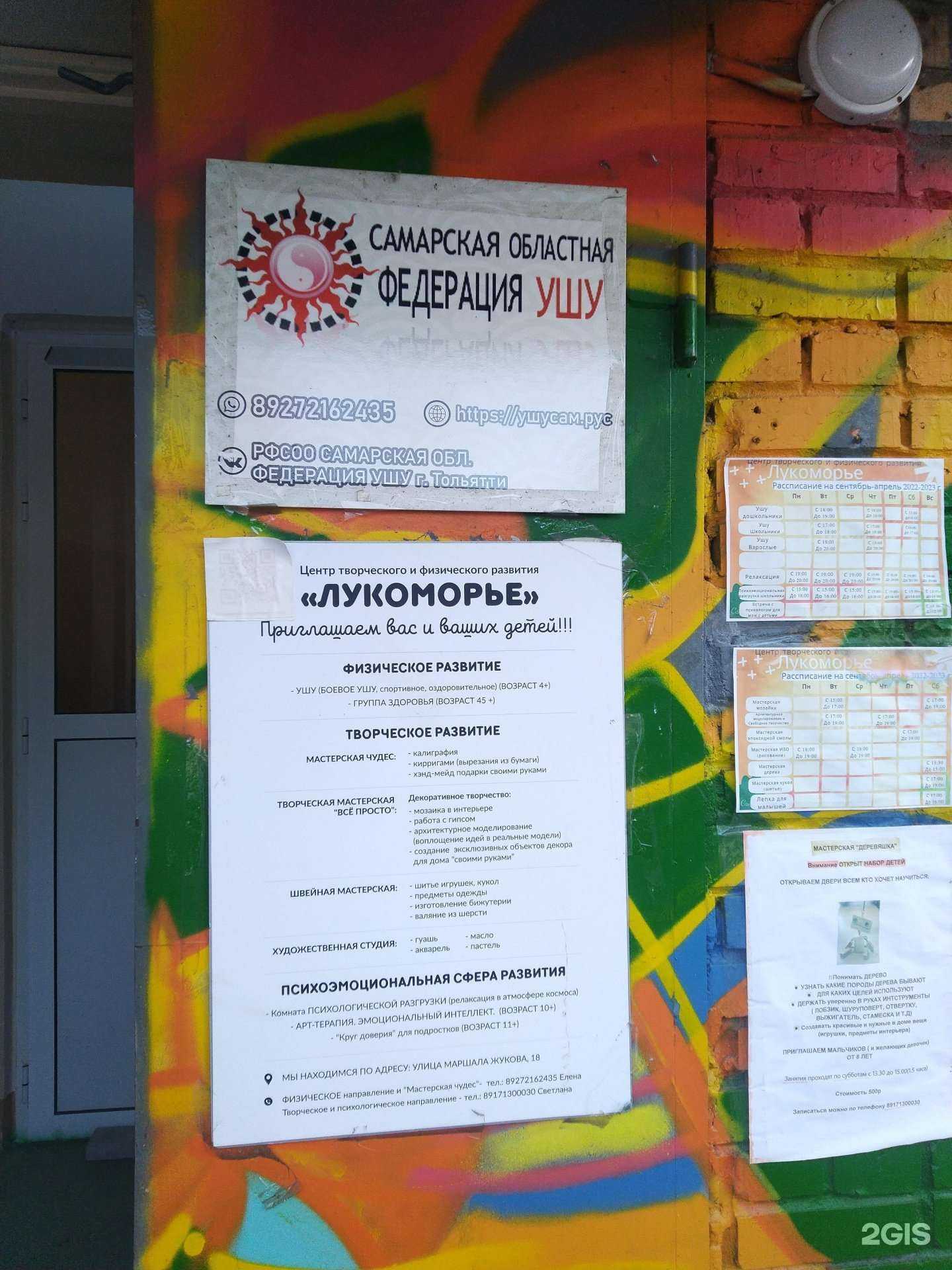 Отзывы на компанию Самарская областная федерация ушу в Тольятти c фото