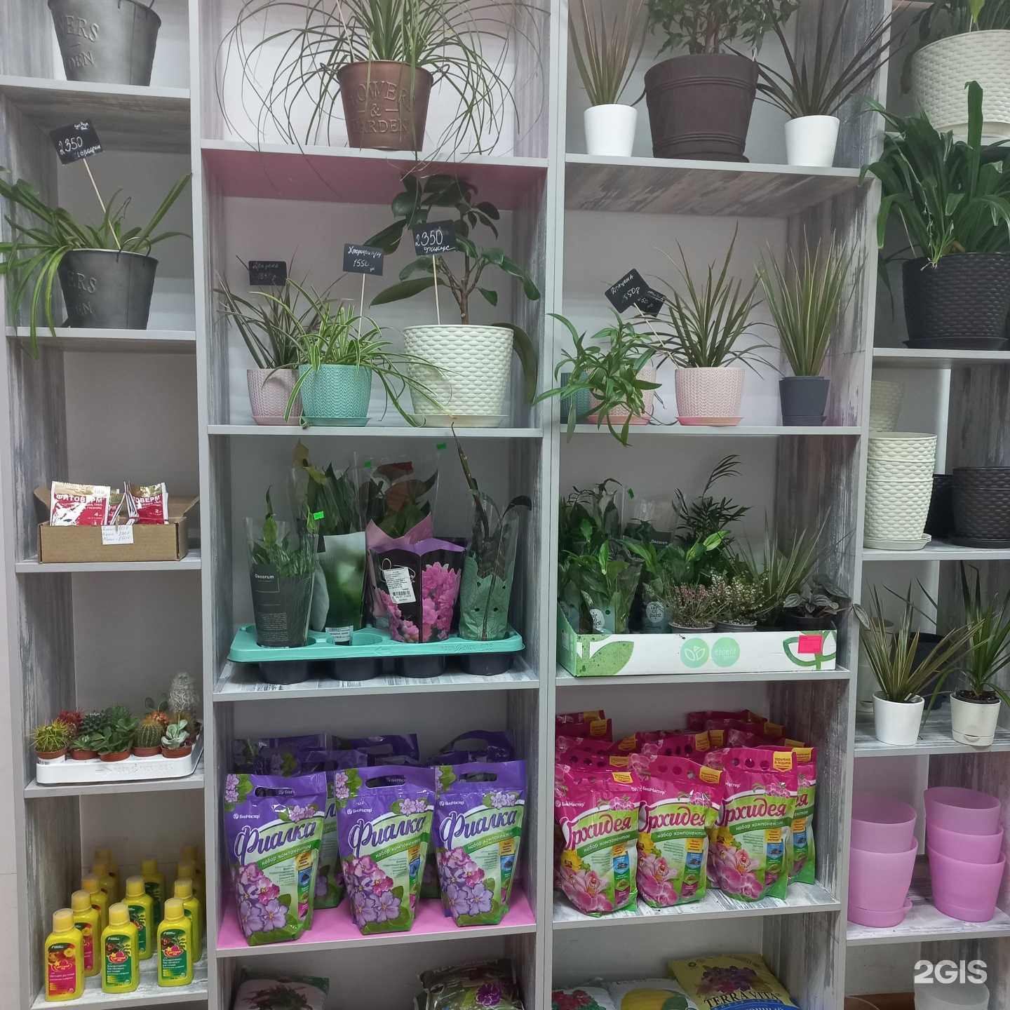 Отзывы на компанию Flower box в Новосибирске c фото