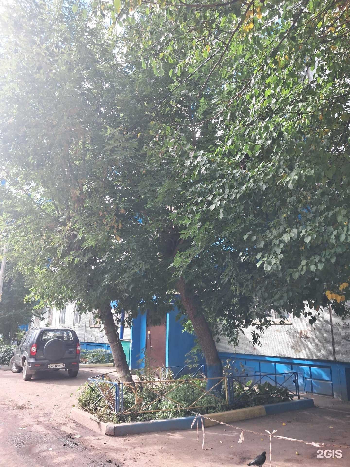 Отзывы на компанию Топ в г. Красноярск c фото