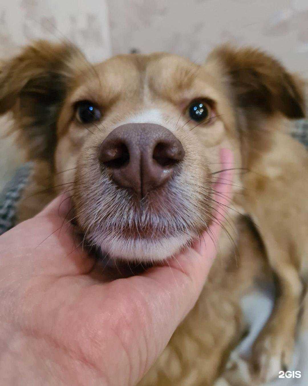 Отзывы на компанию Право на жизнь в г. Чебоксары c фото