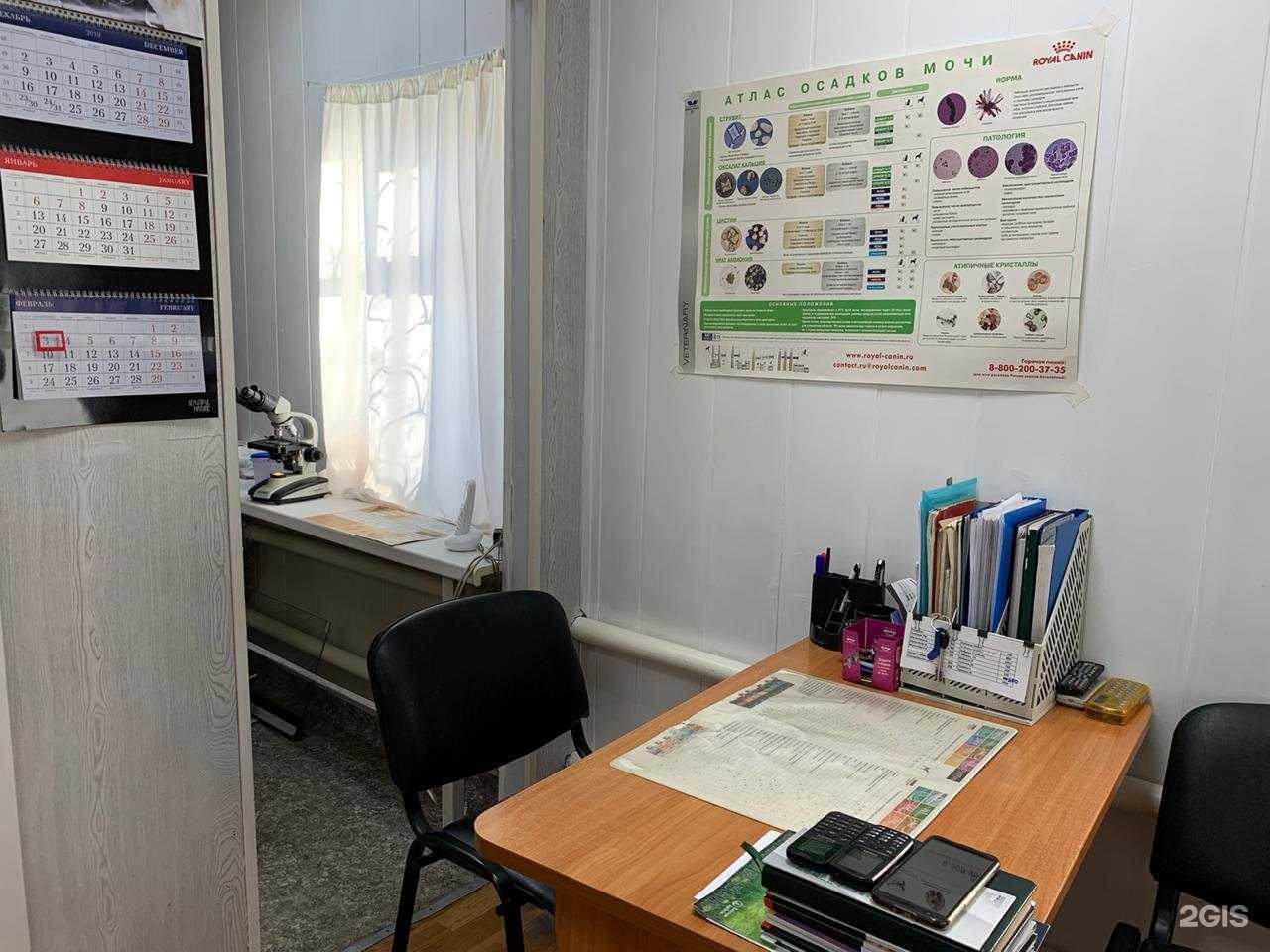 Отзывы на компанию Селена в г. Новосибирск c фото