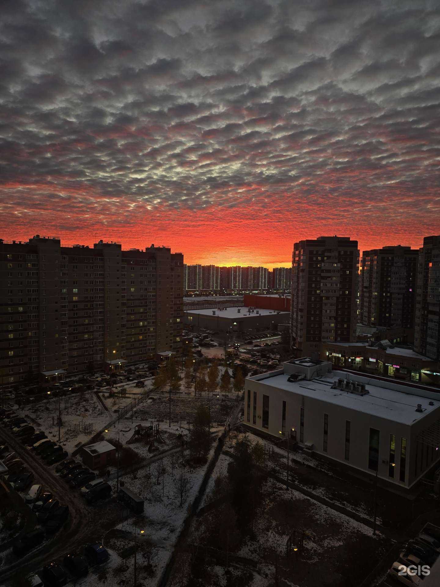 Отзывы на компанию dara_nails в Тюмени c фото