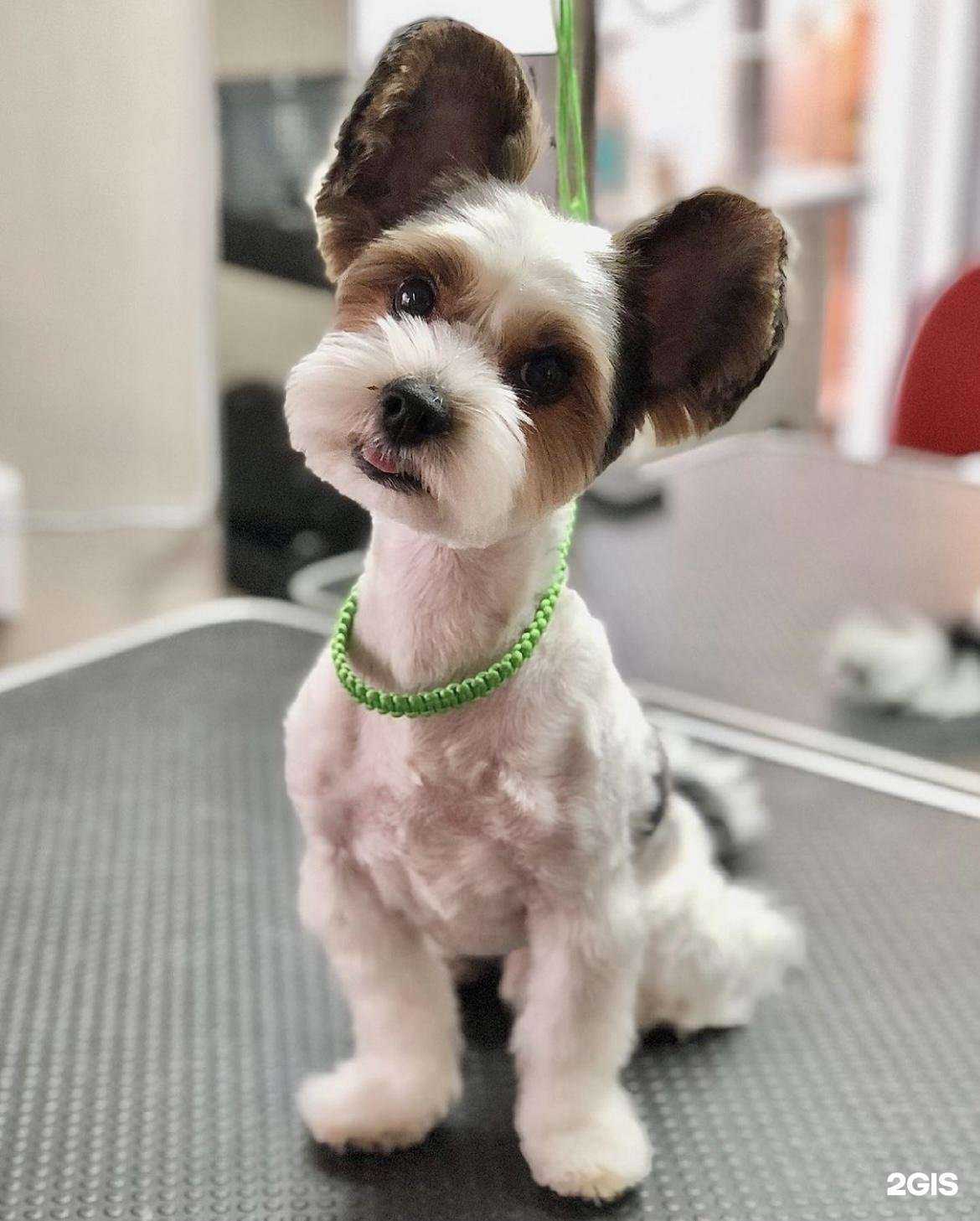 Отзывы на компанию Колтун.off в г. Челябинск c фото