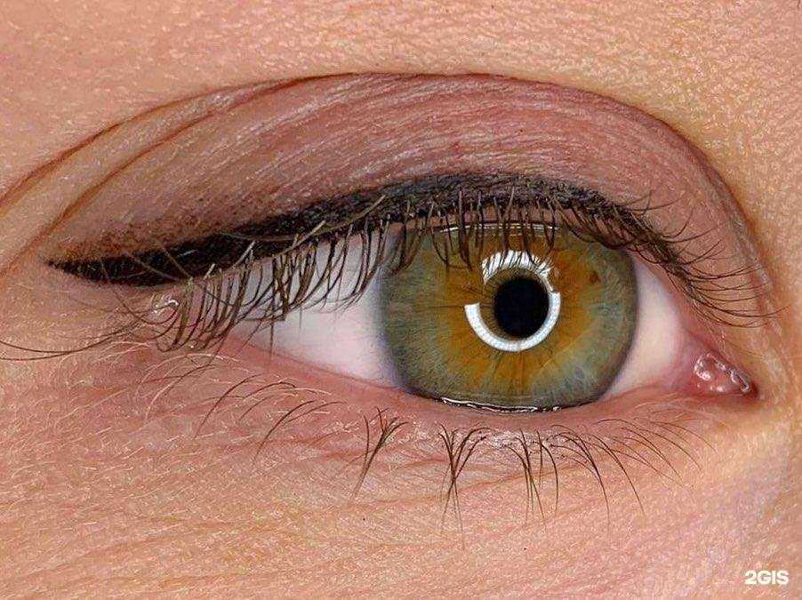 Отзывы на компанию Elle в Брянске c фото