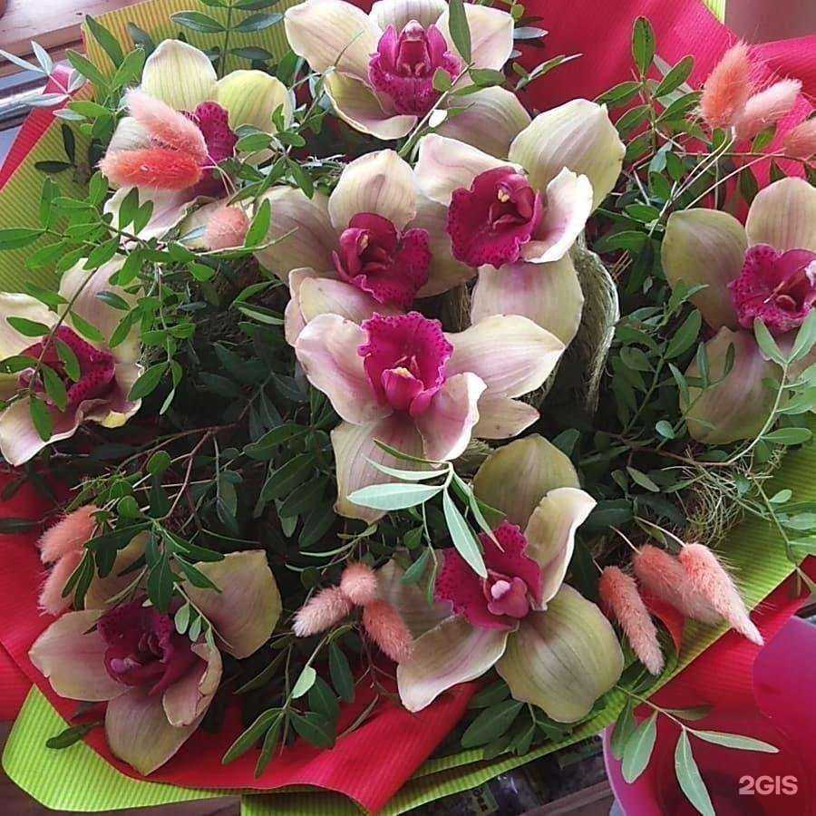 Отзывы на компанию Сакура в Уфе c фото