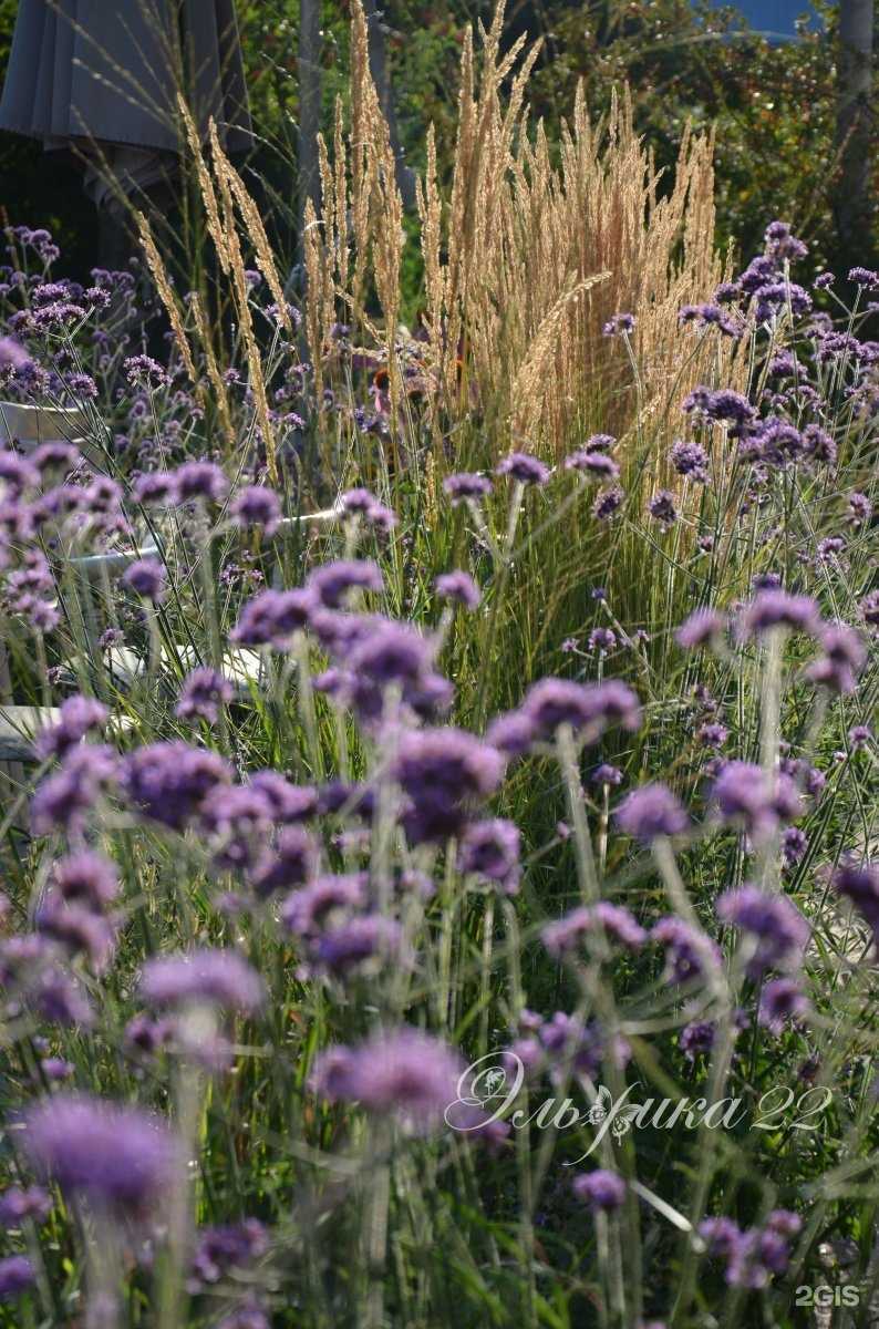 Отзывы на компанию Эльфика22 в Барнауле c фото