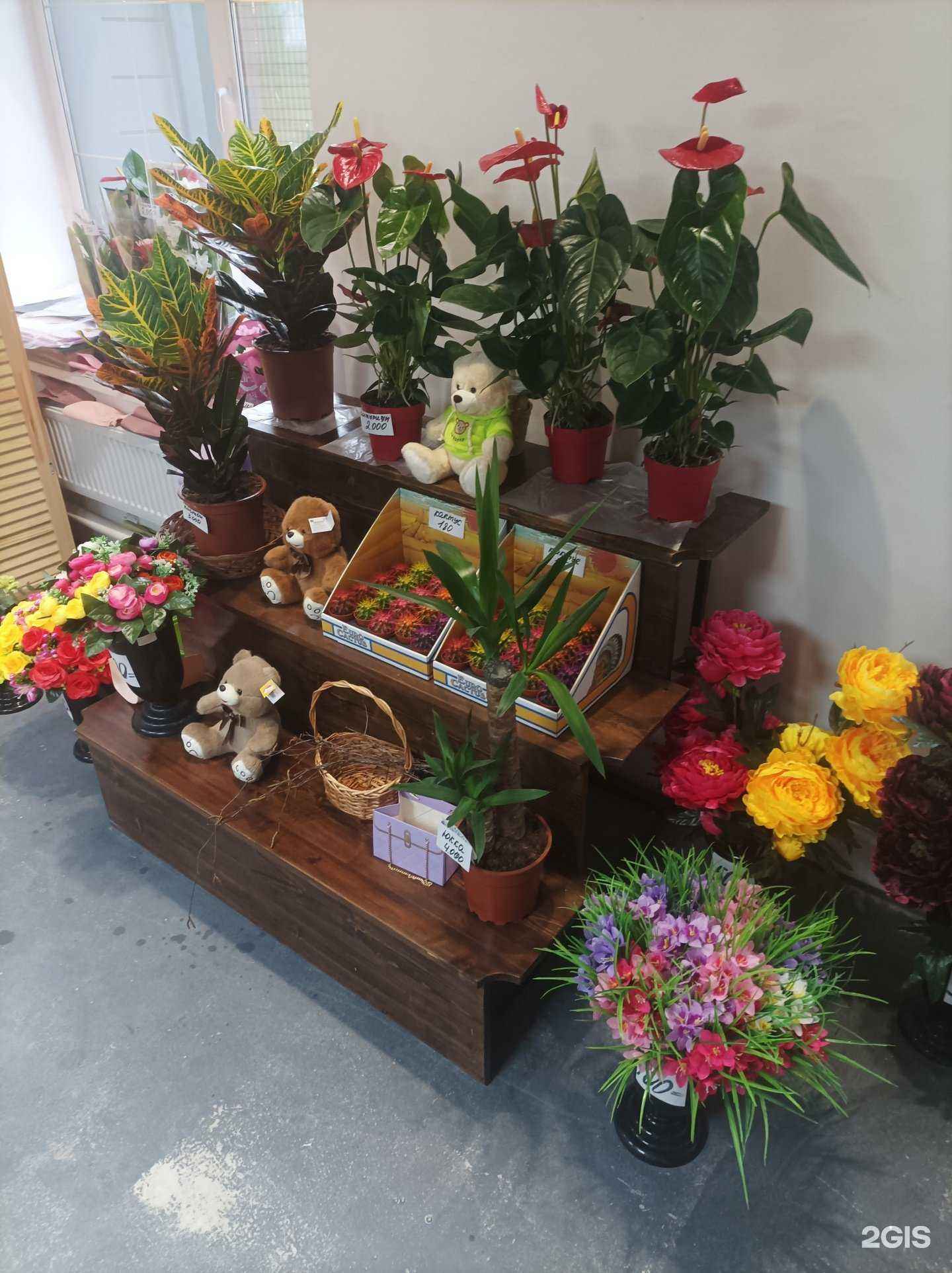 Отзывы на компанию Flower shop в г. Серпухов c фото