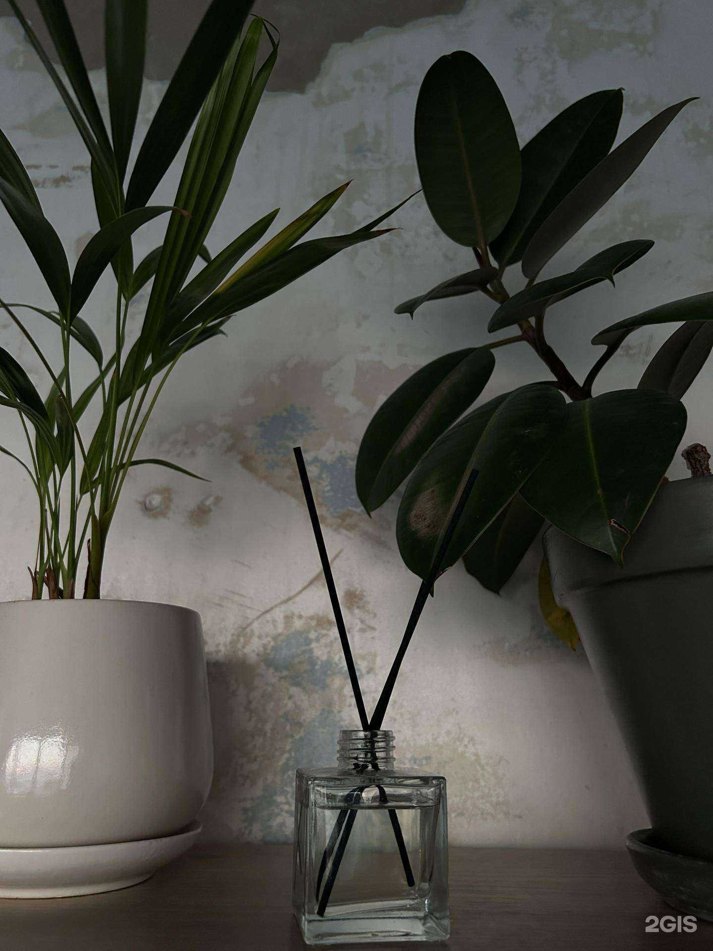 Отзывы на компанию 908 studio в г. Челябинск c фото