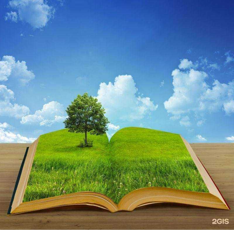 Отзывы на компанию Институт направленного профессионального образования в г. Тольятти c фото