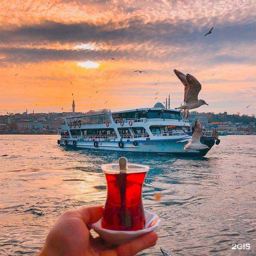 Отзывы на компанию Moon Travel в г. Белореченск c фото