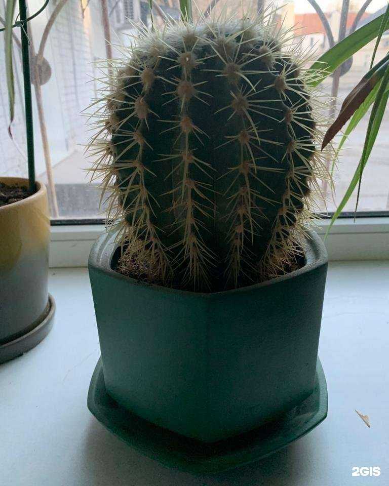 Отзывы на компанию Легион в Новочеркасске c фото