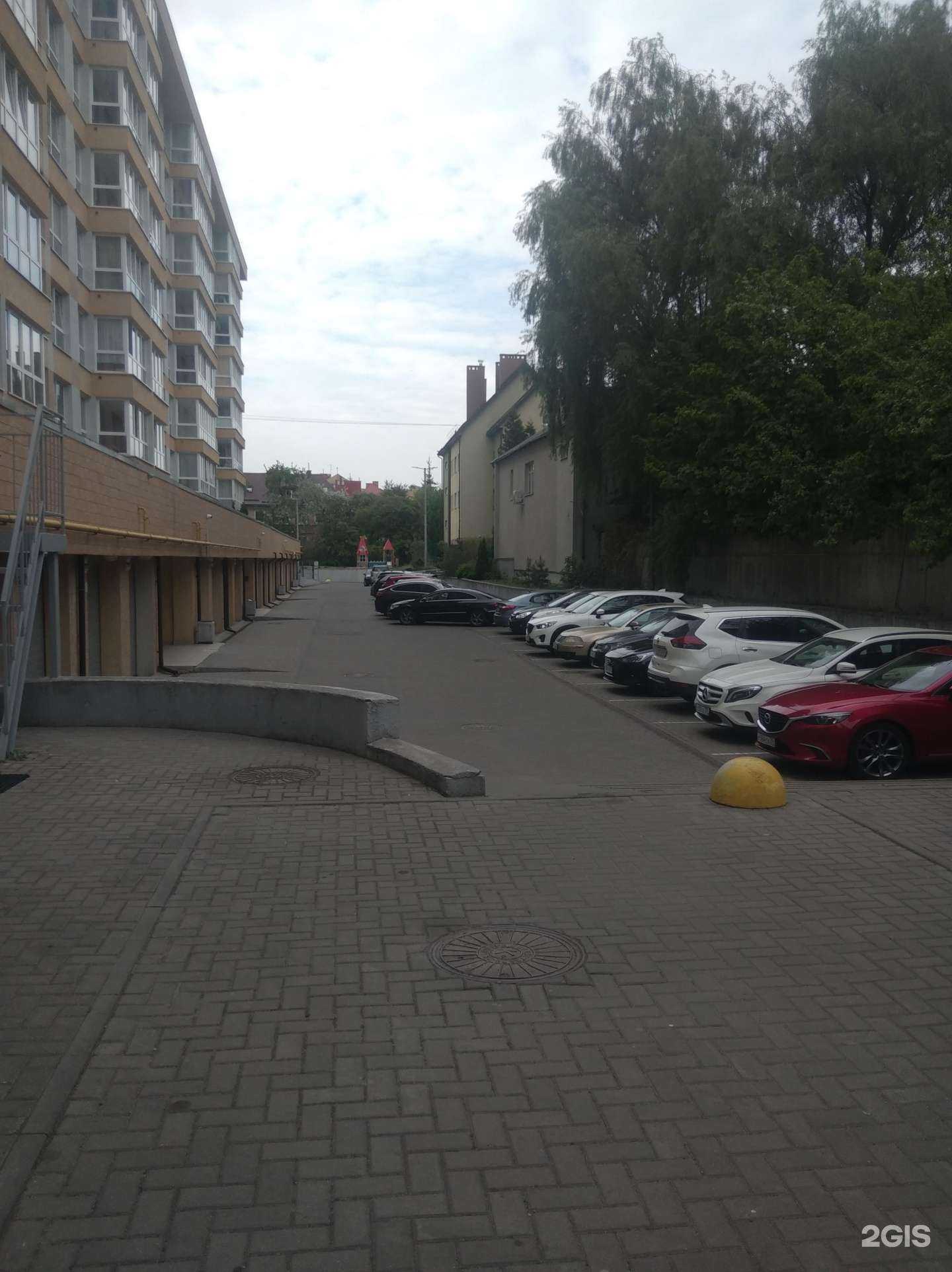 Отзывы на компанию Art Jungle в Калининграде c фото - фотография 2 из 2