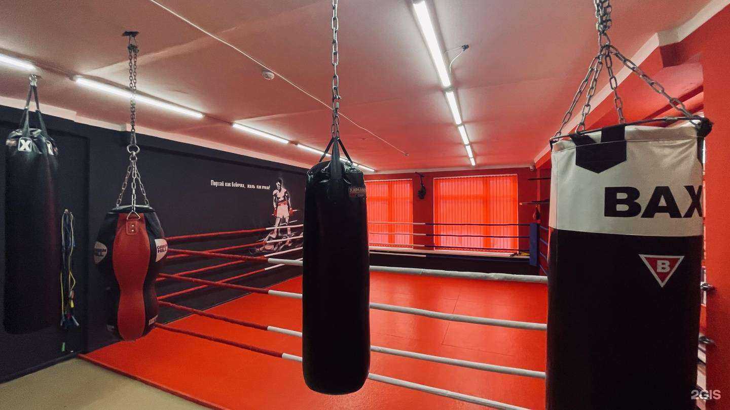 Отзывы на компанию Панчер в Балакове c фото