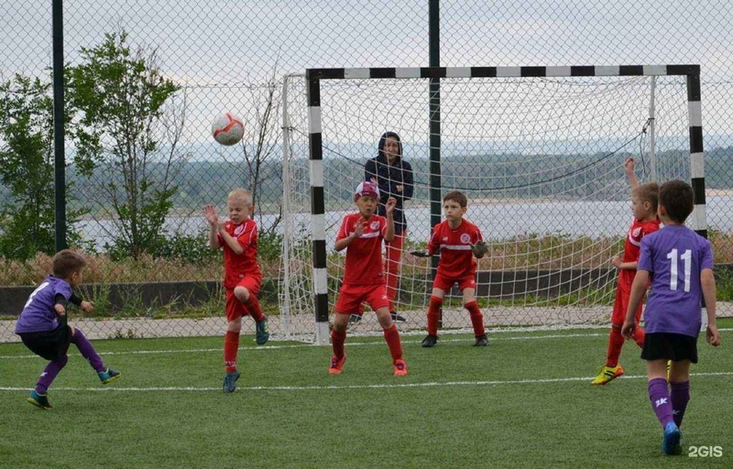 Отзывы на компанию Голицино в Волгограде c фото