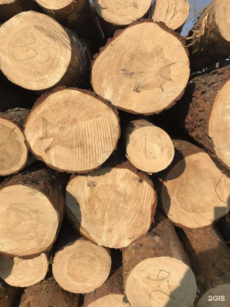 Отзывы на компанию Пилорама в г. Абакан c фото