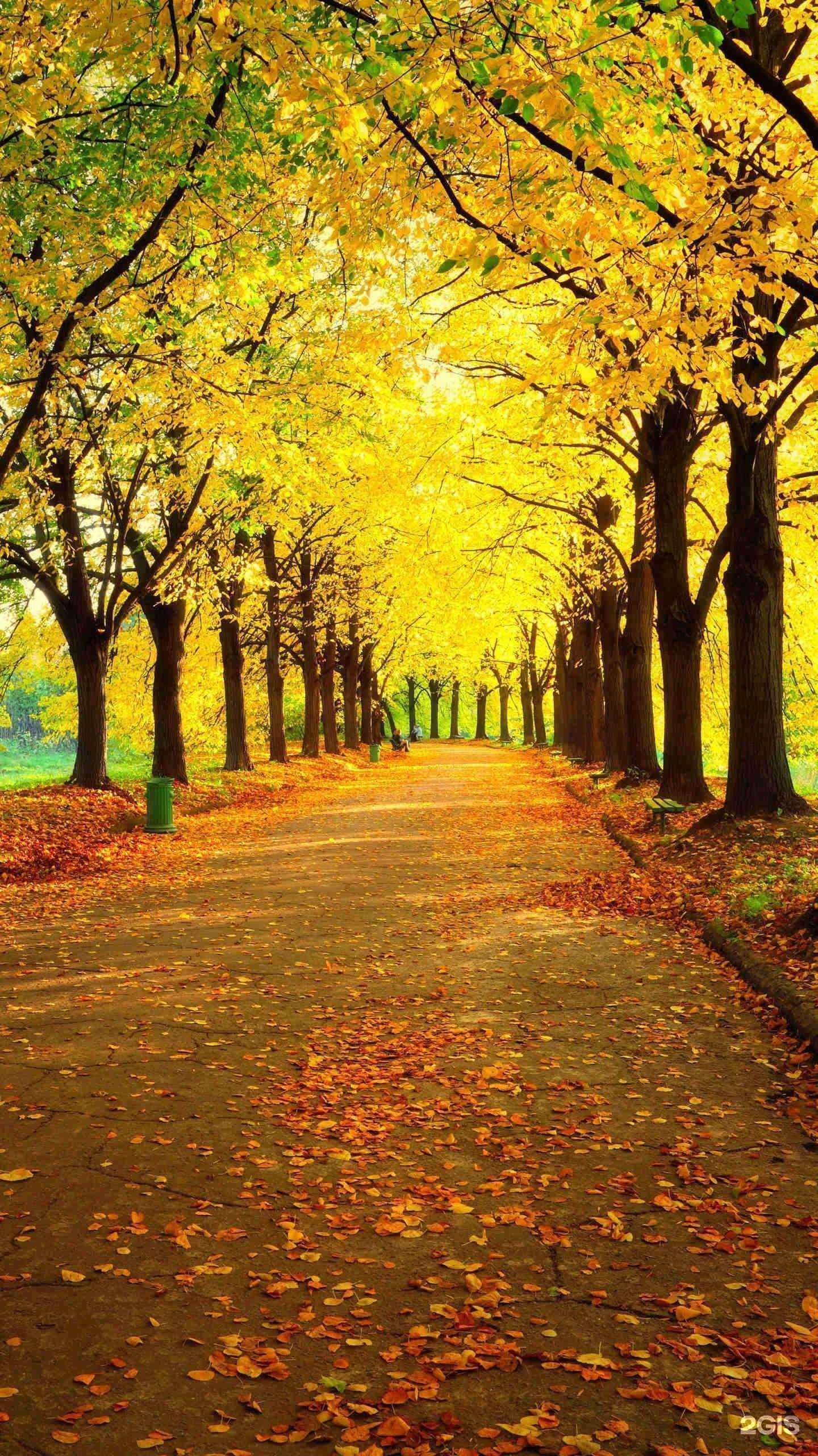 Отзывы на компанию Академический лицей им. Псахье Г.А в Томске c фото