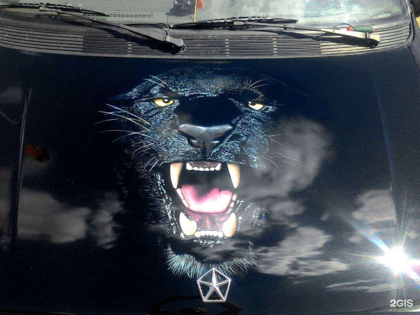 Отзывы на компанию Тополь в г. Белгород c фото