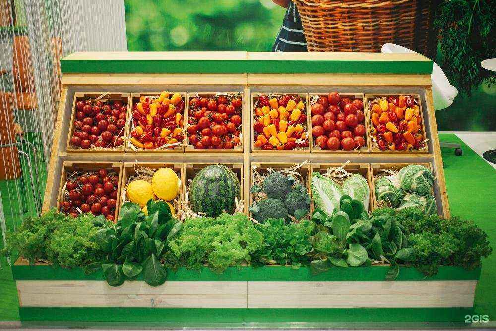 Отзывы на компанию Русский Росток в Краснодаре c фото