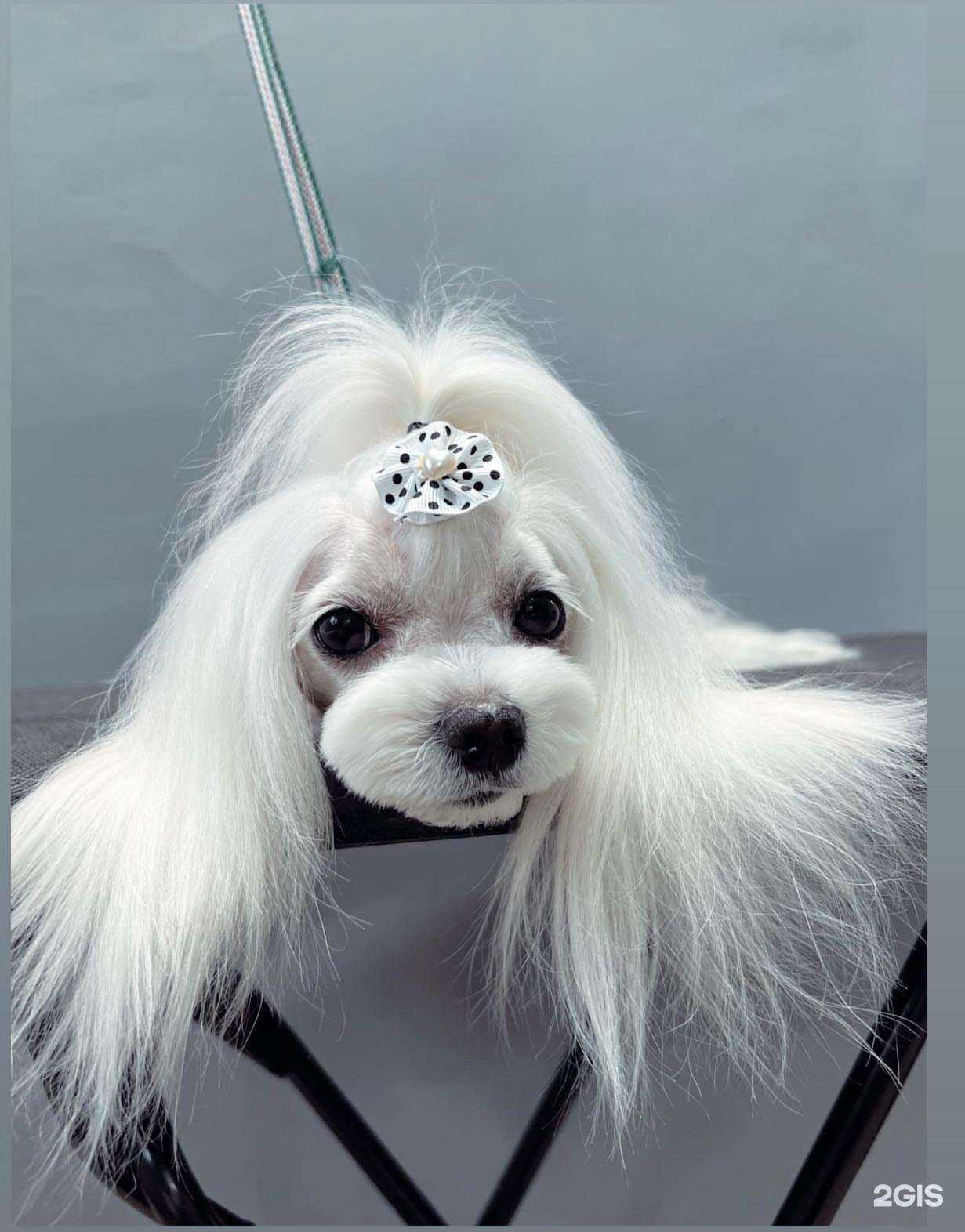 Отзывы на компанию Герман в Кемерове c фото