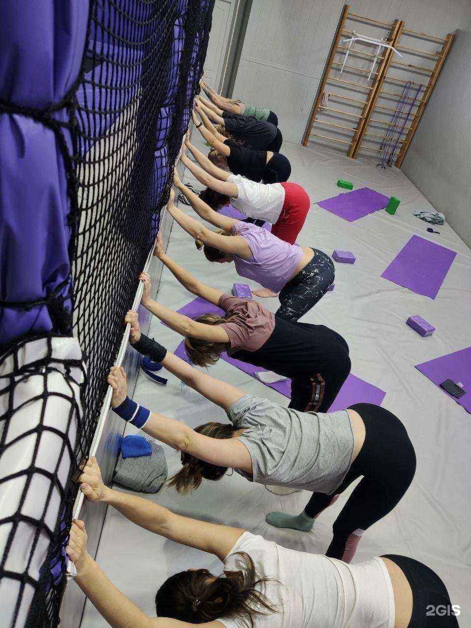 Отзывы на компанию E-fit в Красноярске c фото