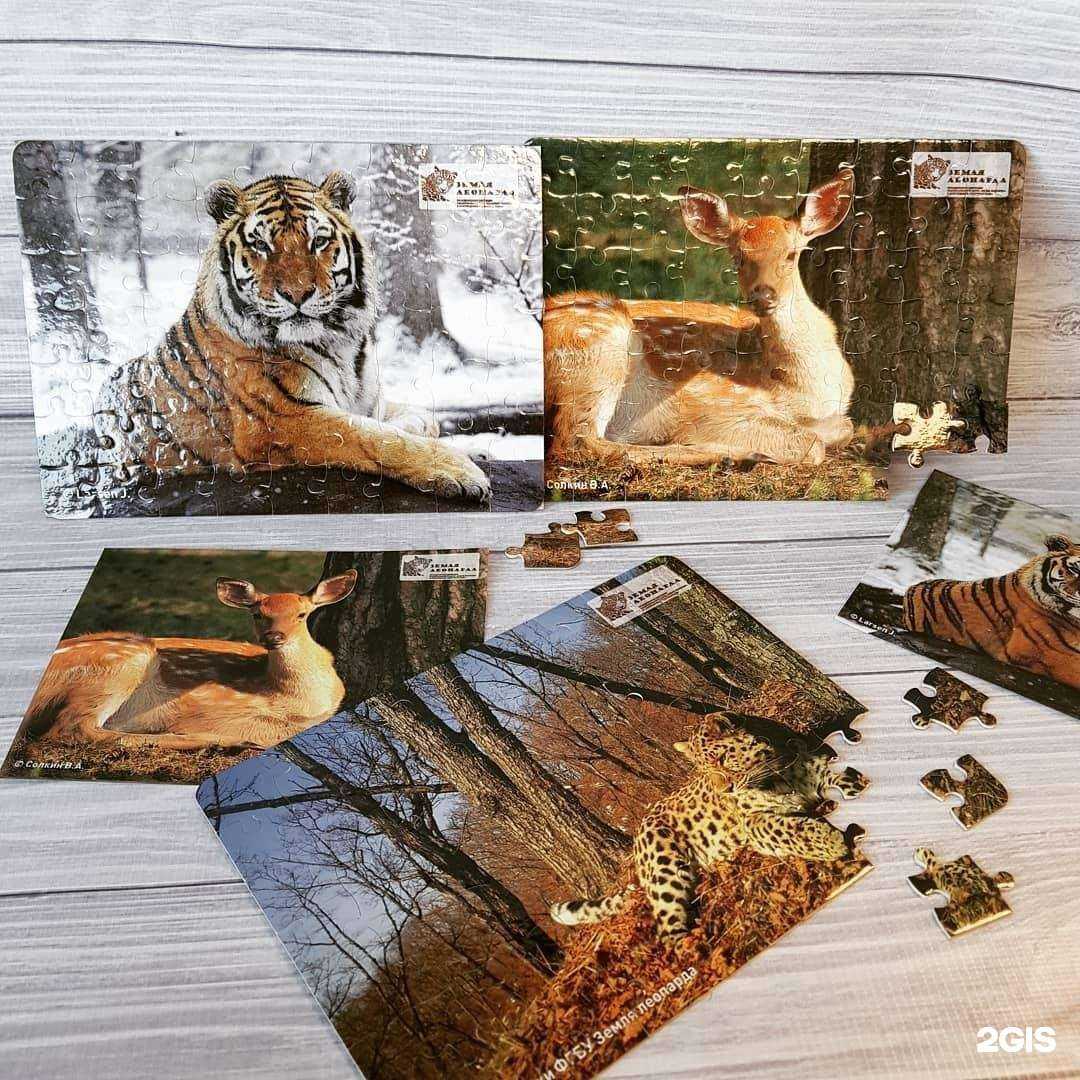 Отзывы на компанию Белая ворона в Владивостоке c фото