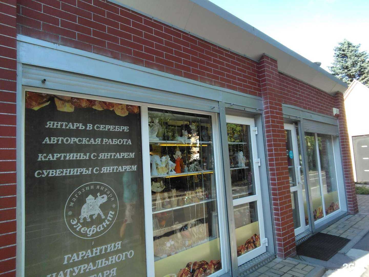 Отзывы на компанию Элефант в Светлогорске c фото