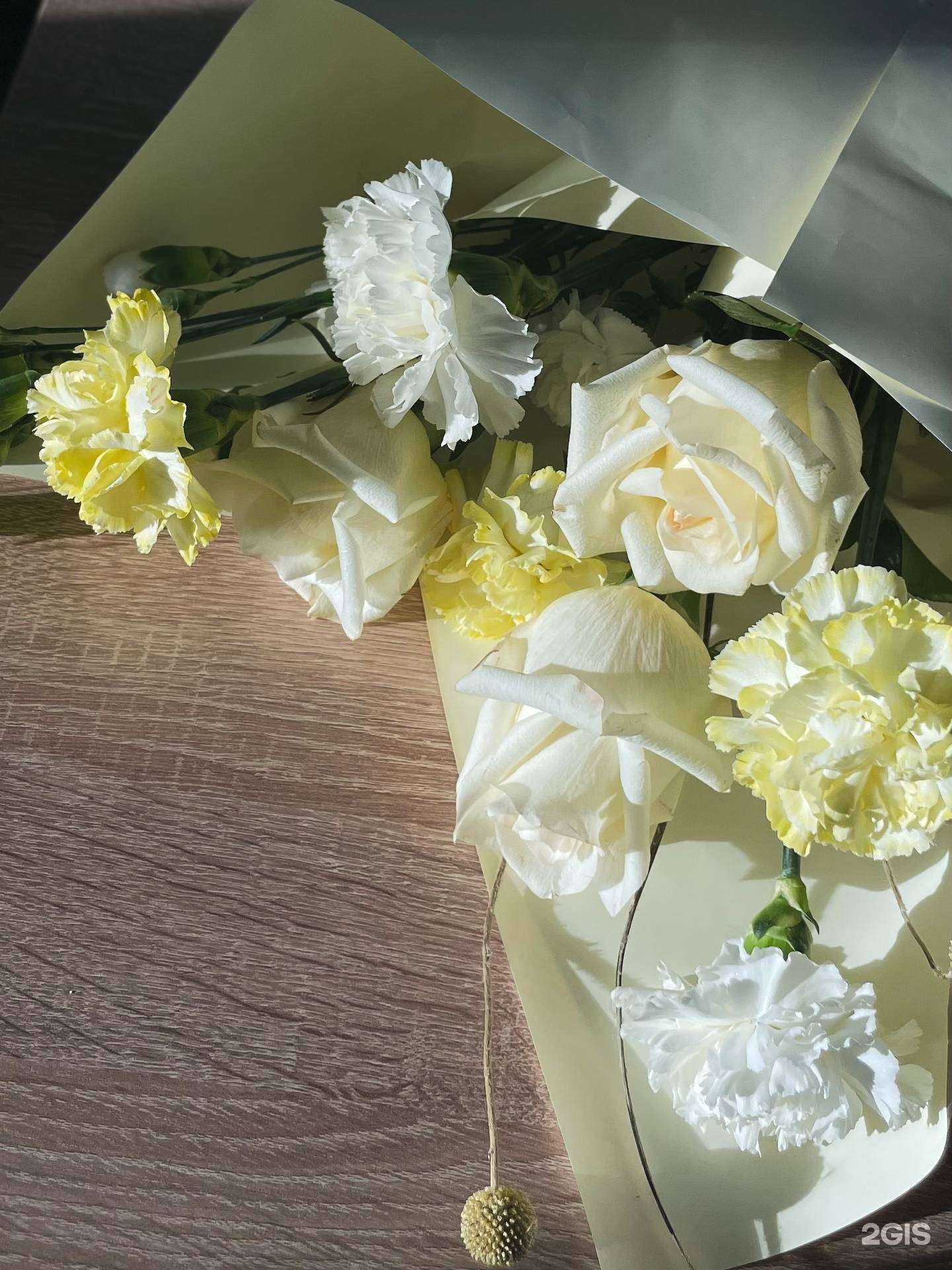 Отзывы на компанию Velia в г. Красноярск c фото