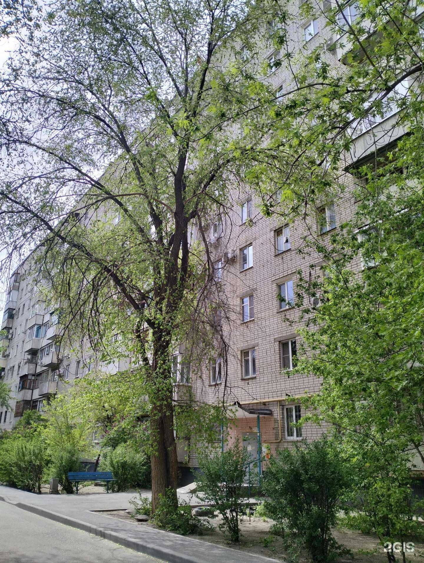 Отзывы на компанию Cardy.su в Волгограде c фото - фотография 2 из 2