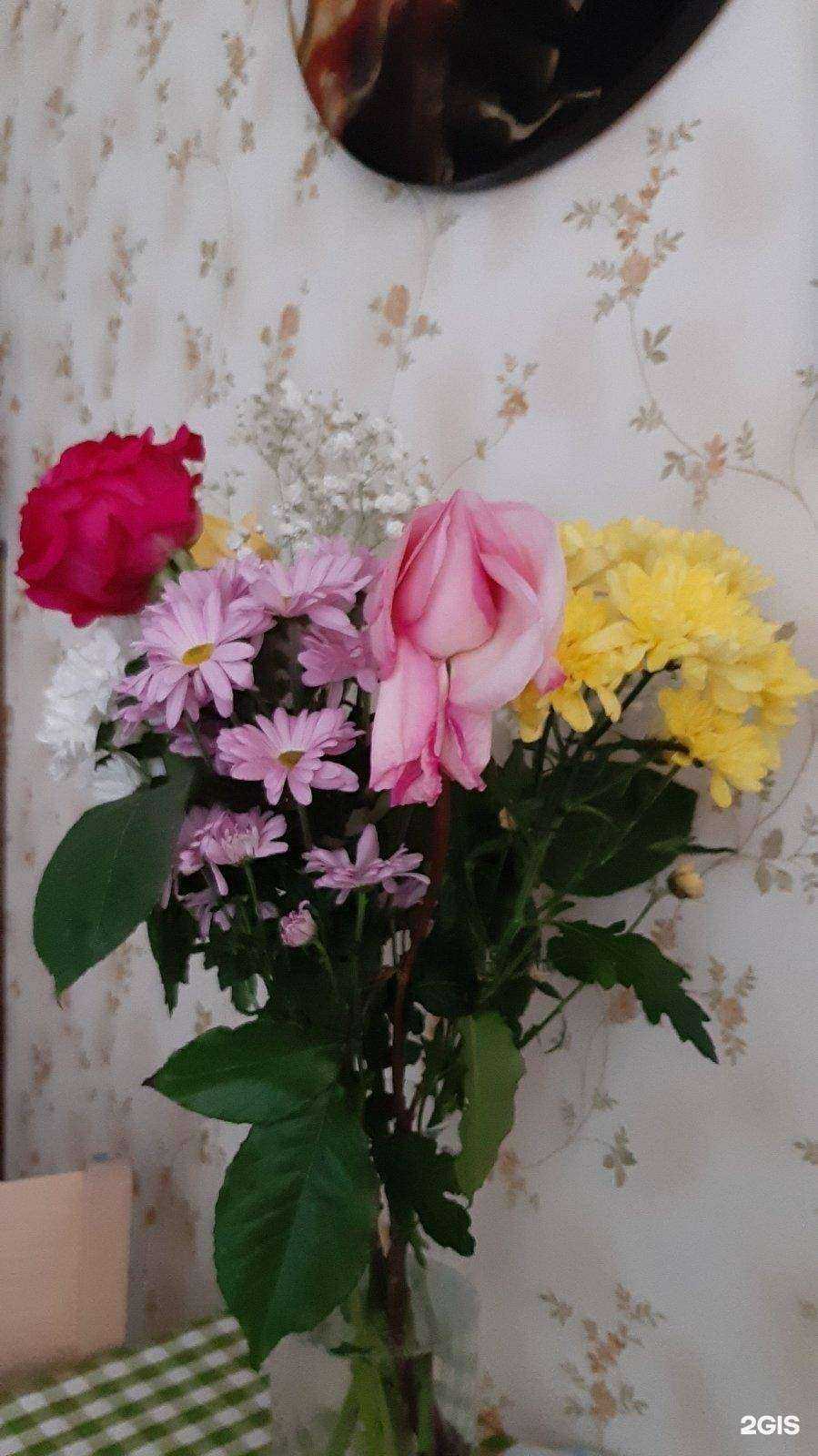 Отзывы на компанию Крона в г. Красноярск c фото