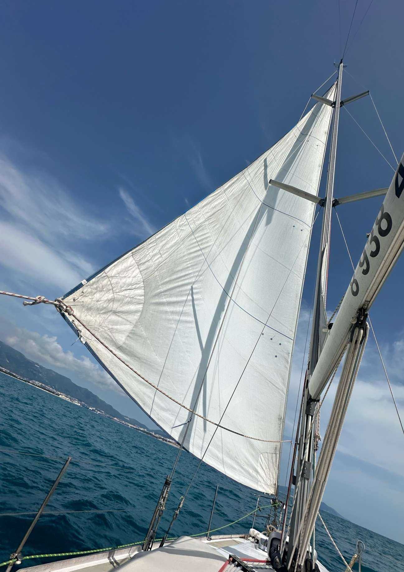 Отзывы на компанию Яхты и Точка в г. Геленджик c фото