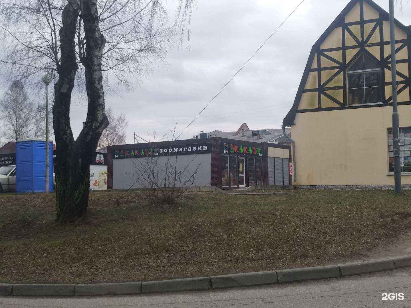 Отзывы на компанию Какаду в г. Светлогорск c фото