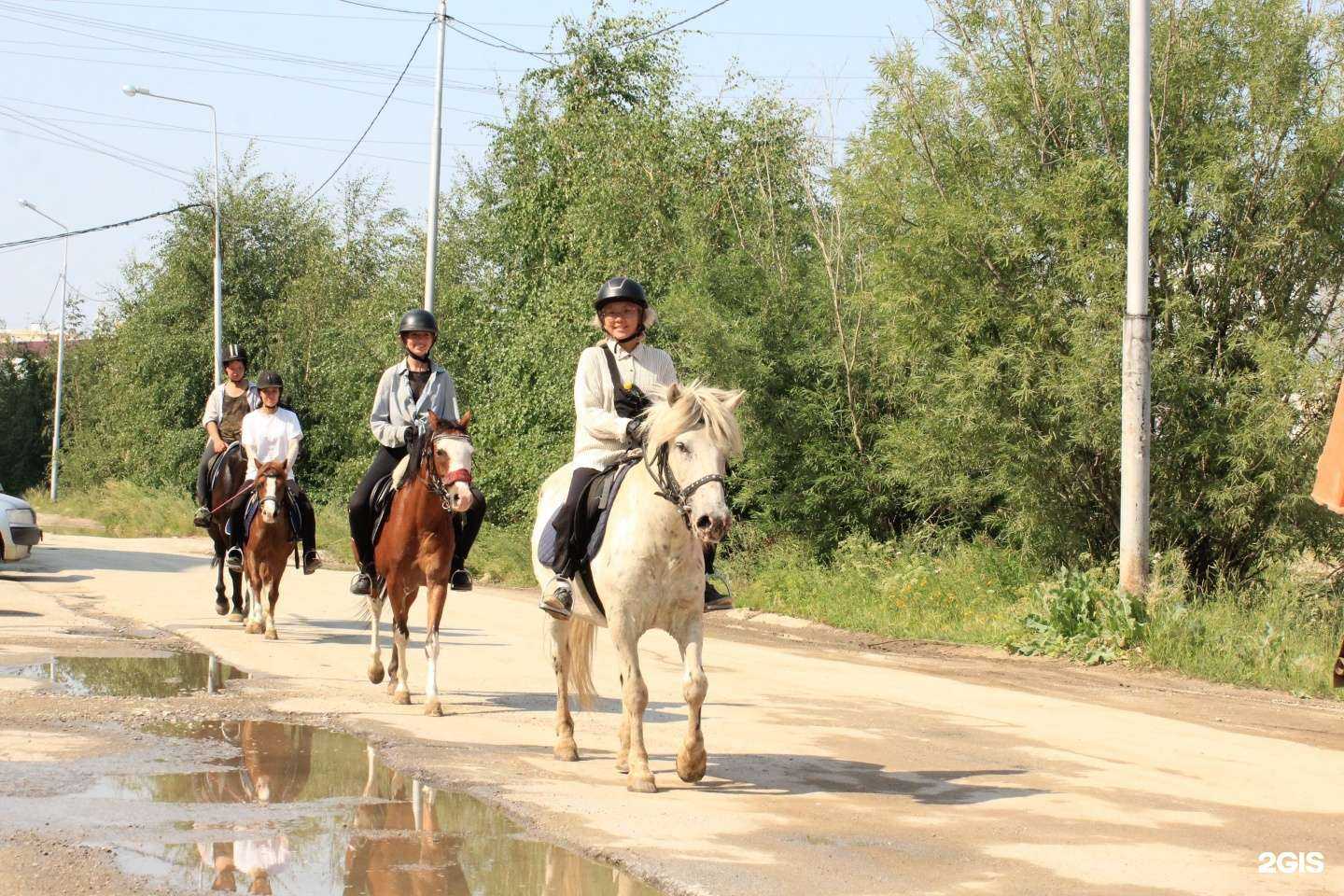 Отзывы на компанию Конноспортивный комплекс в Якутске c фото