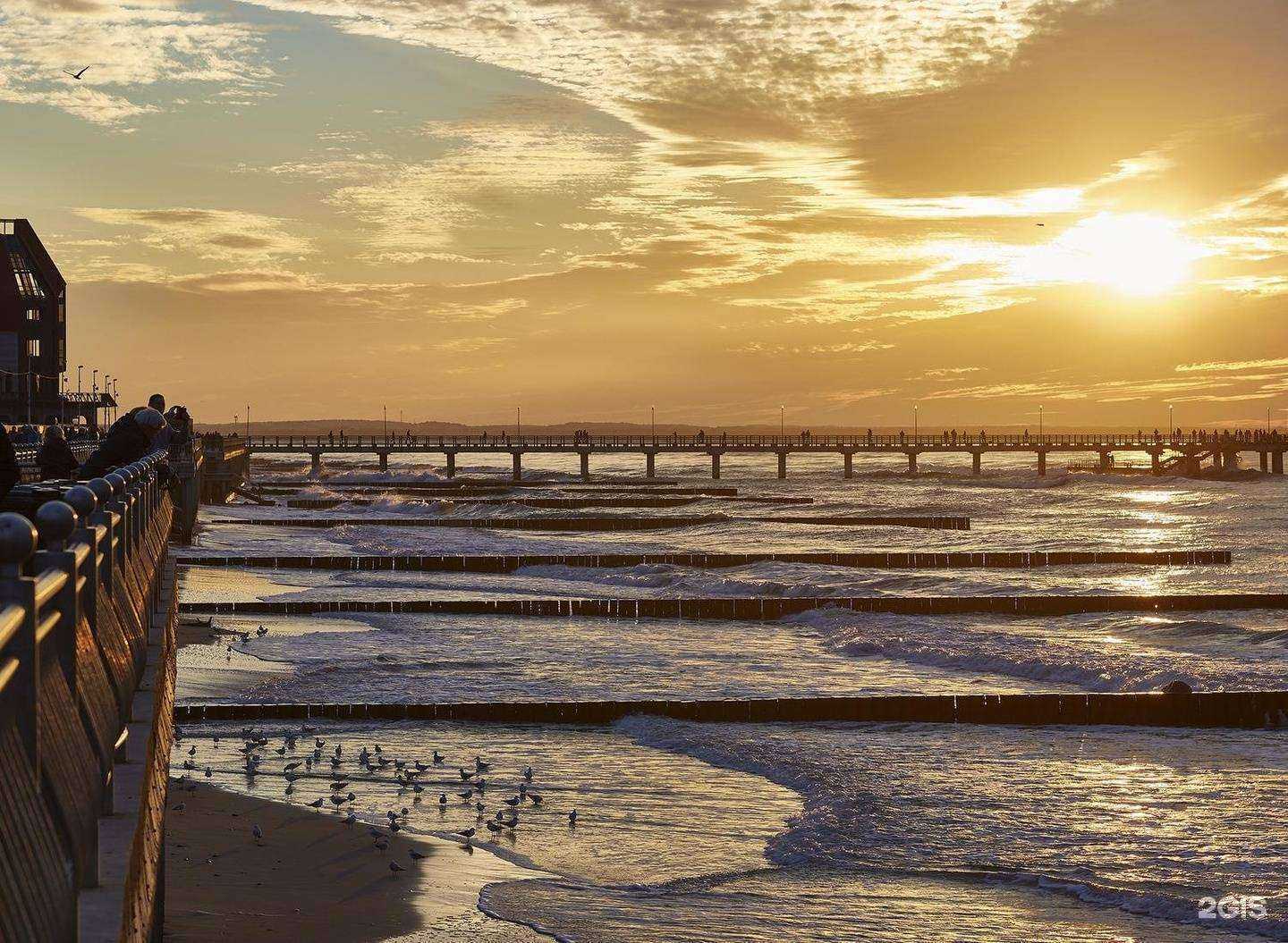 Отзывы на компанию VIPcars39 в г. Калининград c фото