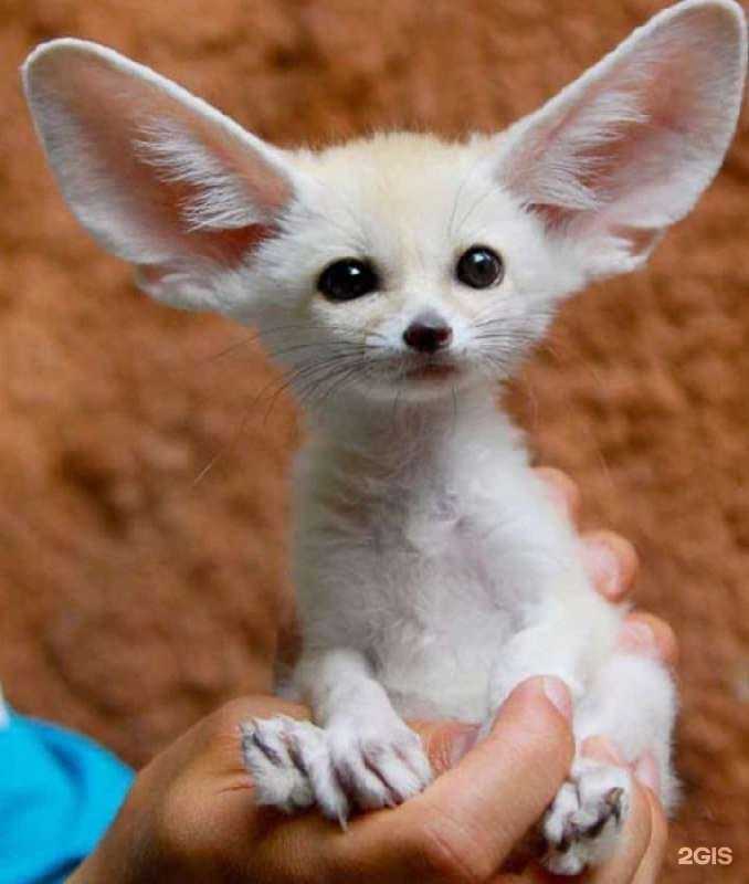 Отзывы на компанию H2O в Петрозаводске c фото