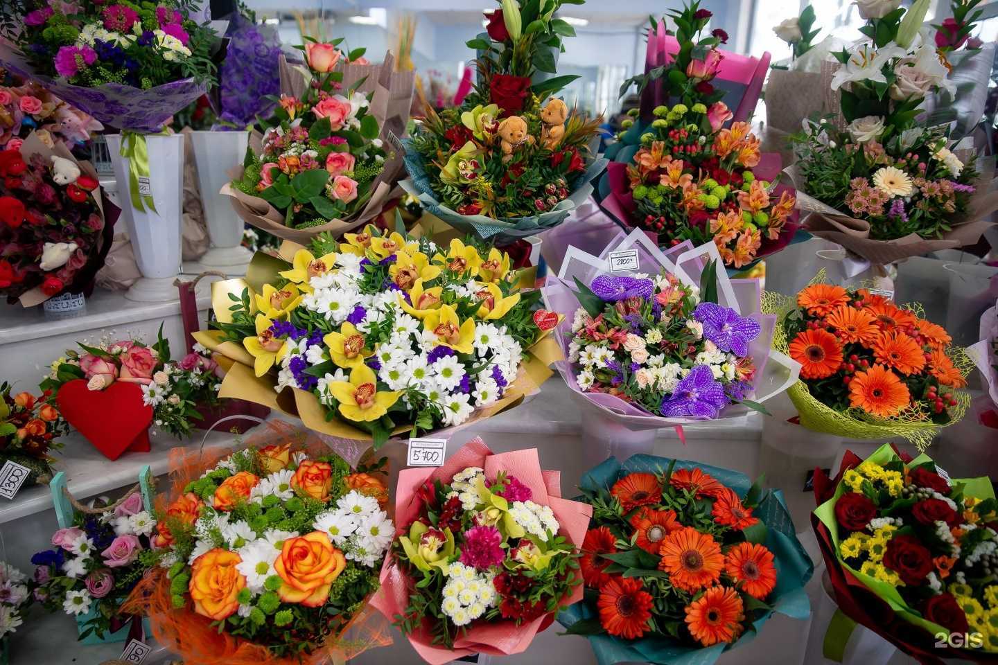 Отзывы на компанию Камелия в Ярославле c фото