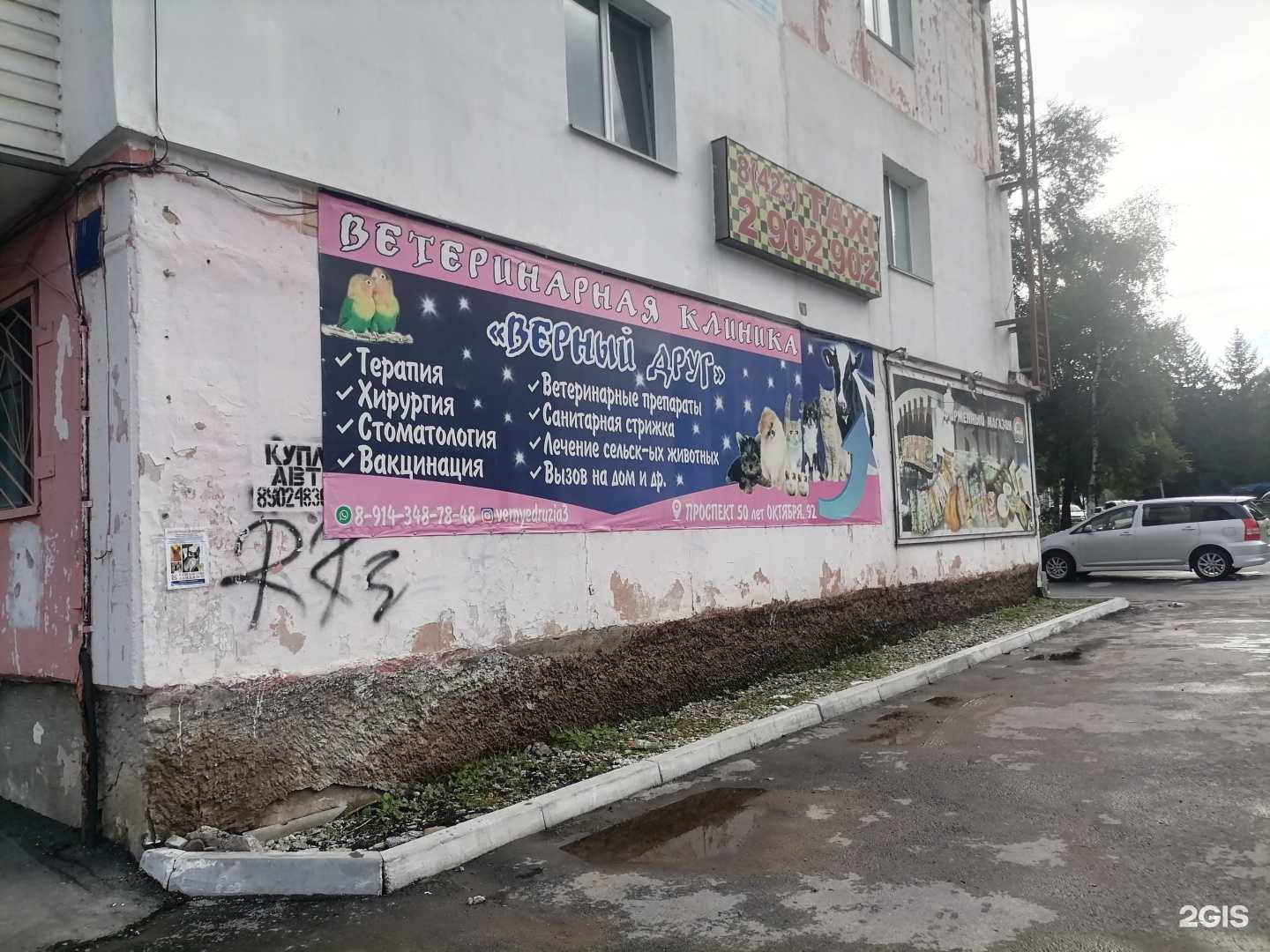 Отзывы на компанию Верный друг в г. Дальнегорск c фото