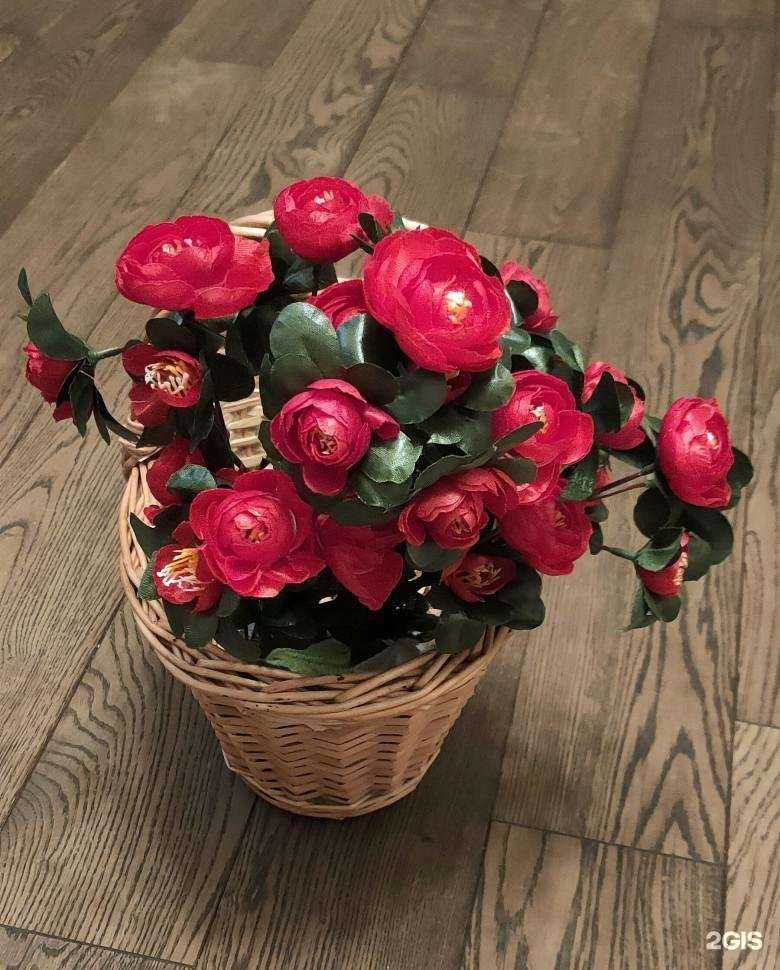 Отзывы на компанию Спорт&Отдых в г. Одинцово c фото