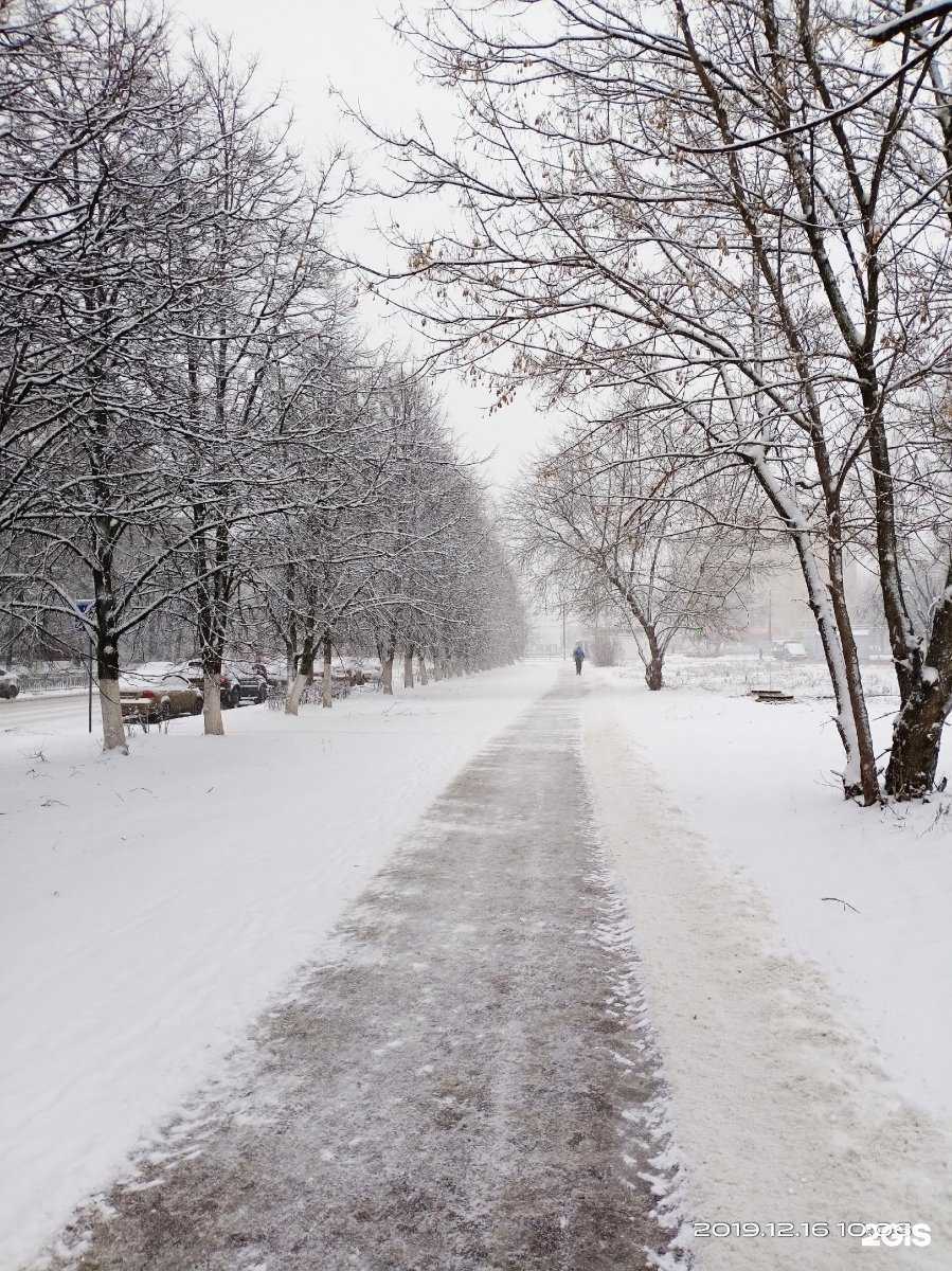 Отзывы на компанию Ореховский в Нижнем Новгороде c фото - фотография 2 из 2