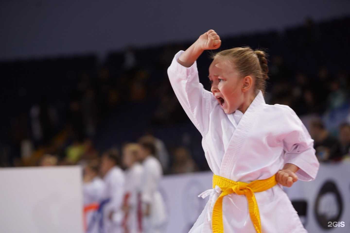 Отзывы на компанию Федерация каратэ Тульской области в Туле c фото