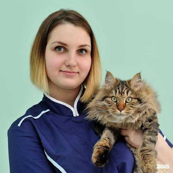 Отзывы на компанию Алекс в г. Находка c фото