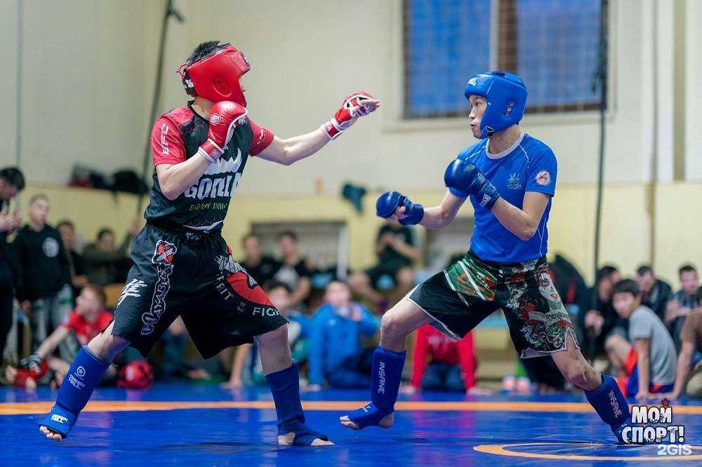 Отзывы на компанию Анаконда в Красноярске c фото