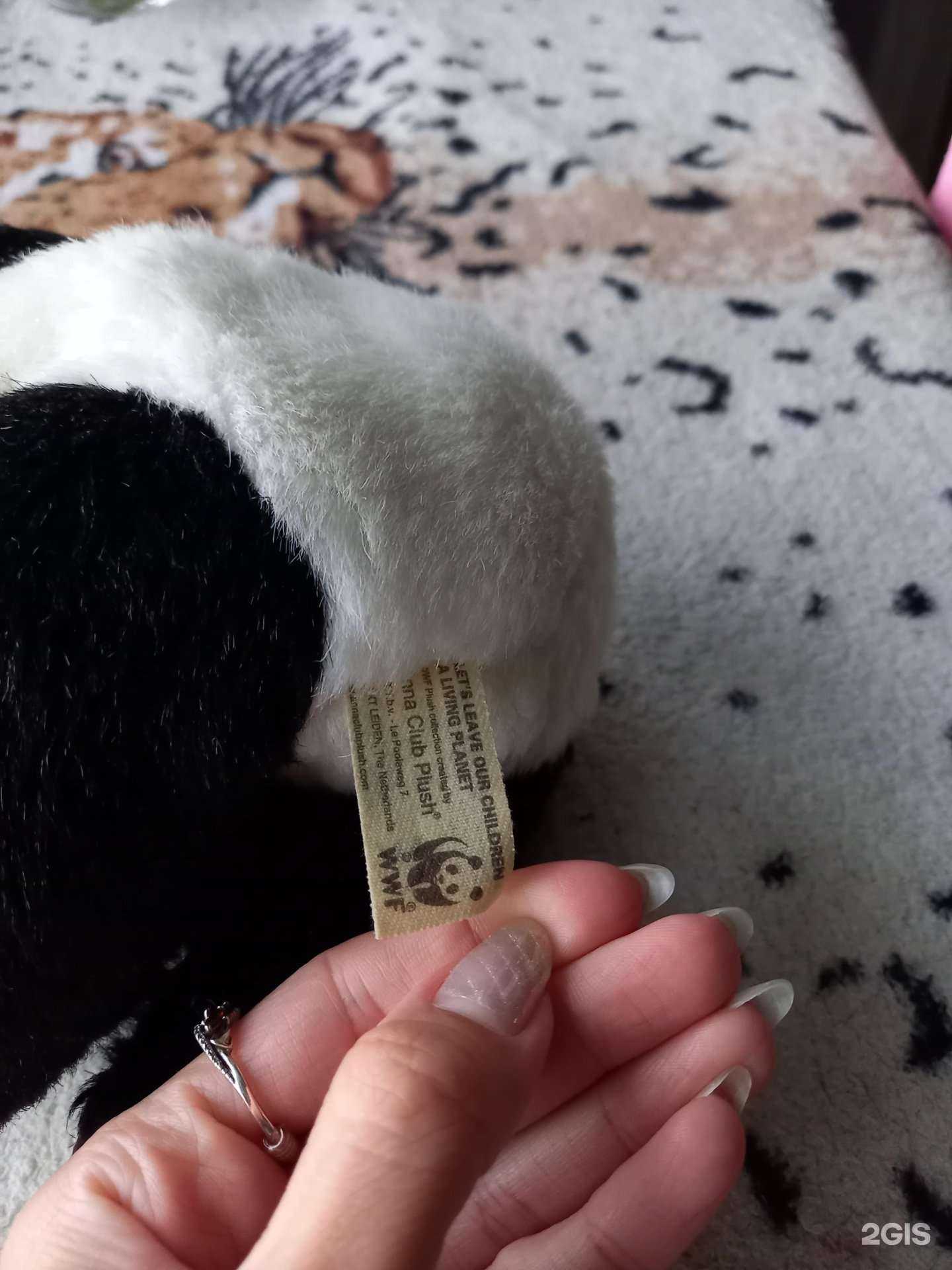 Отзывы на компанию Дашеф в Челябинске c фото