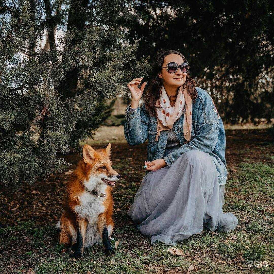 Отзывы на компанию Like a star в Краснодаре c фото