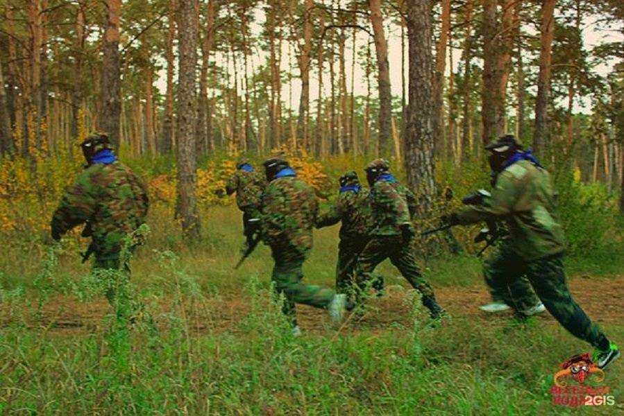 Отзывы на компанию Дикий Дональд в Омске c фото