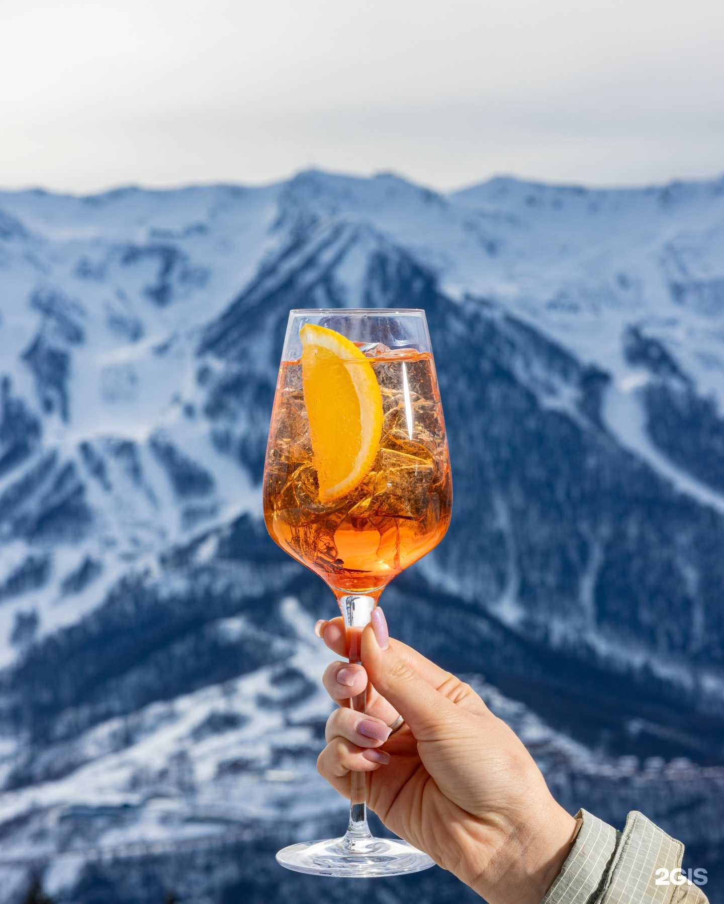 Отзывы на компанию Хмели Ice Сунели в Сочи c фото