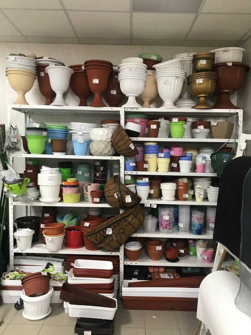 Отзывы на компанию Росток в Миассе c фото