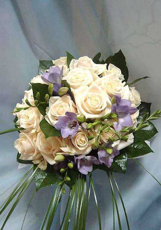 Отзывы на компанию Оазис в Чите c фото