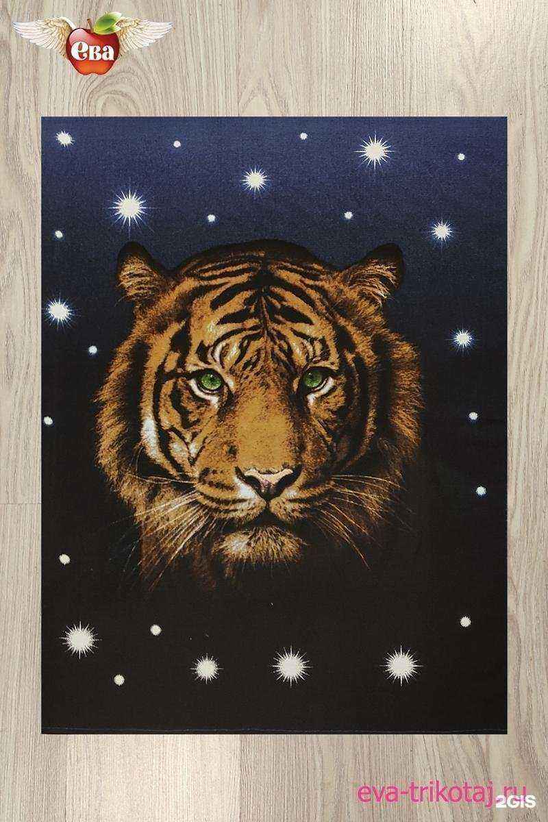 Отзывы на компанию Ева в Иванове c фото